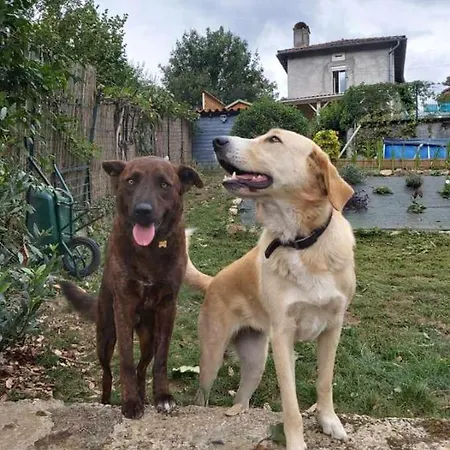 L'arbonnaise Privat bolig