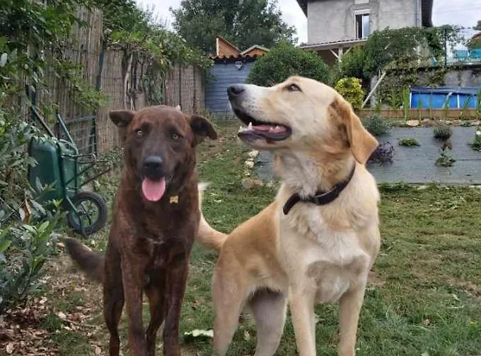 L'arbonnaise ホームステイ